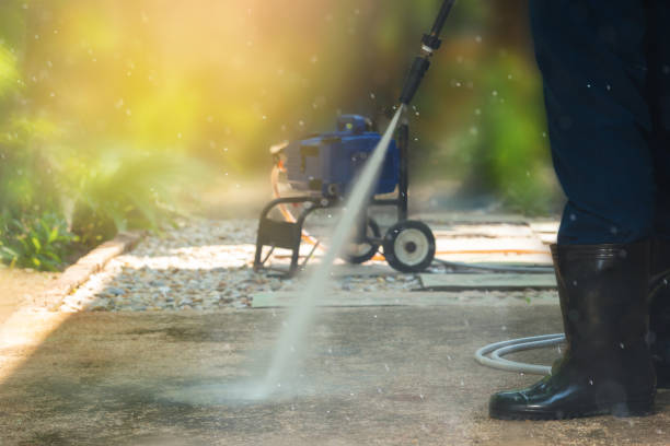 Best Sidewalk and Walkway Cleaning  in Newton, TX